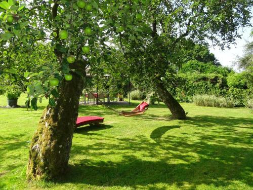 B&B La Pommeraie