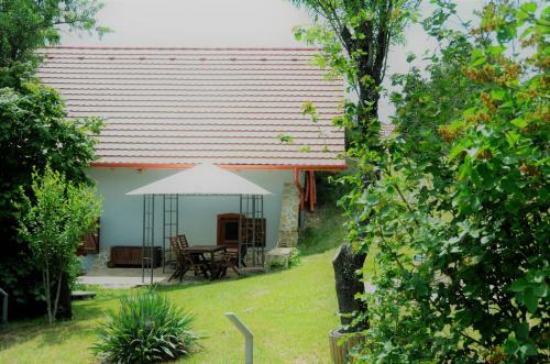 Villa Vita