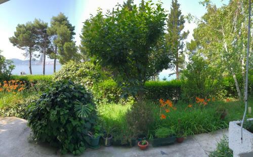 Apartmani Sunce