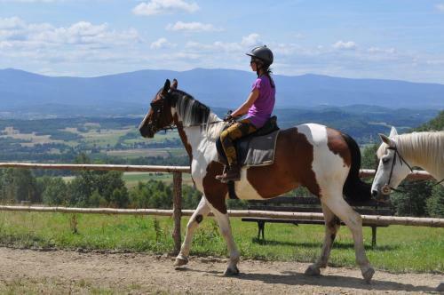 Agroturismo Sza?as Muflon - Mufflonh�tte