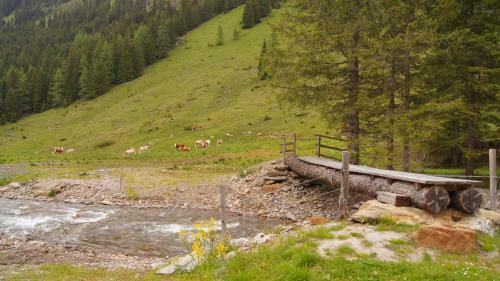 Alpine Chalet - H�ttfeldalm - Almh�tte - Panoramablick