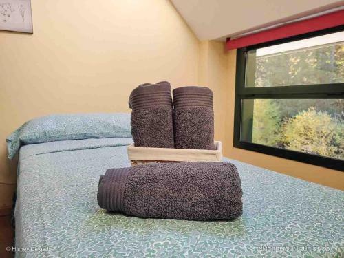 Apartamento Abeto Rojo - Inmopremium Turistico