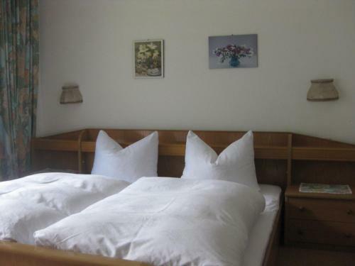 Apartamento Haus Renate Frischmann