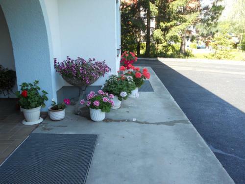 Apartamento Haus Renate Frischmann