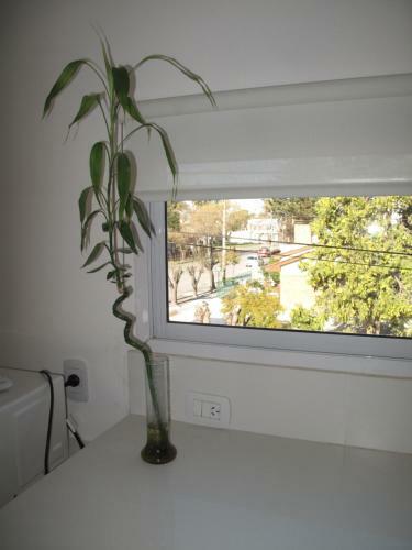Apartamento Departamento Calle San Luis