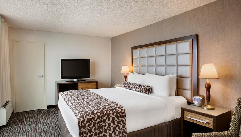 Hotel Crowne Plaza International Airport