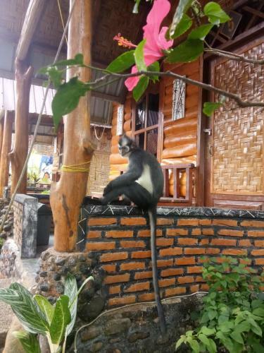 Agroturismo Lucky Bamboo
