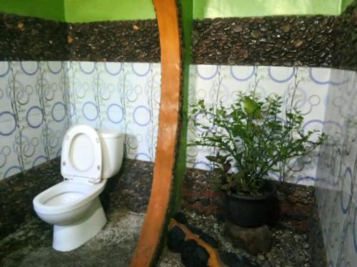 Agroturismo Lucky Bamboo