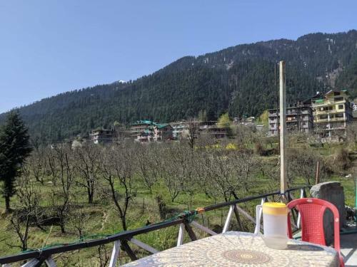Bed & Breakfast Saraswati Inn