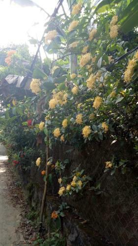 Hostal Tam Tinh Vien Homestay