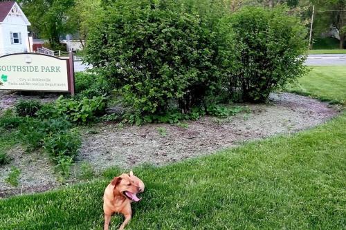 Wolf's Cabin-walk To Downtown Noblesville