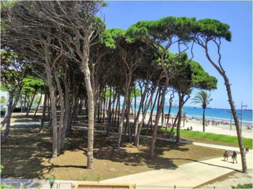 Apartamento Primer�sima L�nea La Pineda