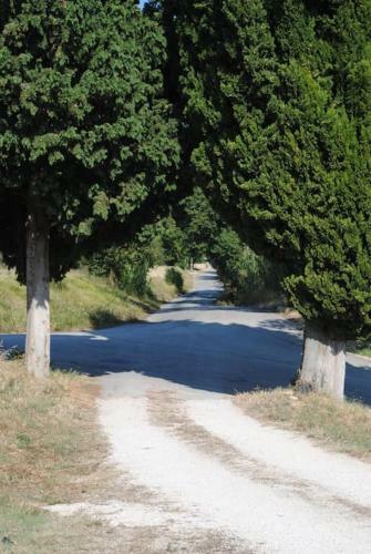 Apartamento Appartamento Di Campagna