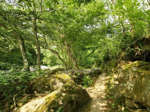 Holiday Home Grundelwald Aywaille