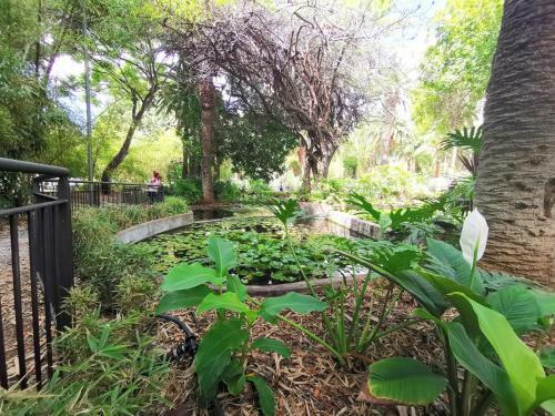 Home2book Charming Center Apartment Santa Cruz