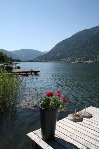 Hostal G�stehaus H�rb