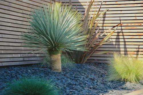 Bed & Breakfast Les Cocons Du Bassin - Cocon "spa&design"
