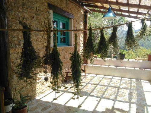 Bed & Breakfast Masseria Cata Catascia