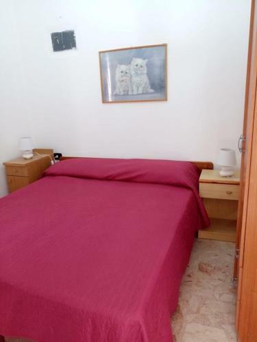 Hostal Orion Accomodation