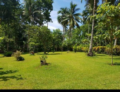 Bed & Breakfast Paco's Garden Home Stay