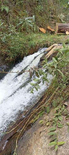 Biohotel Ecohouse