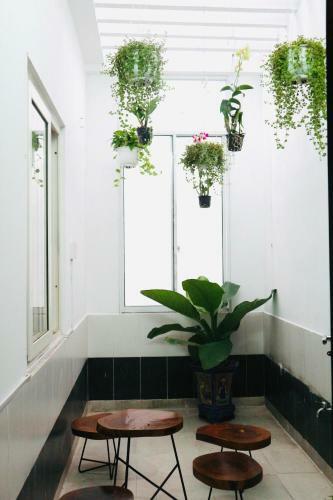 Tasa Homestay Da Nang
