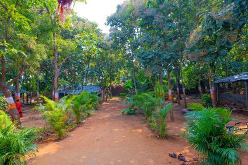 Saptami Hampi Homestay