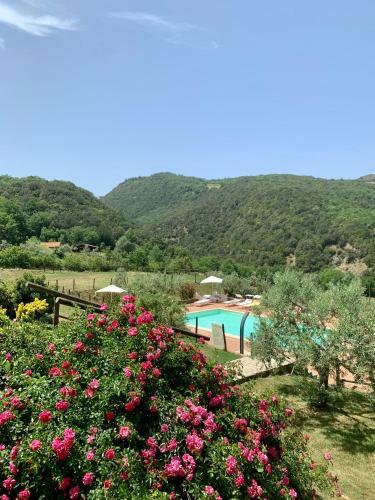 Agroturismo Podere Le Mulina