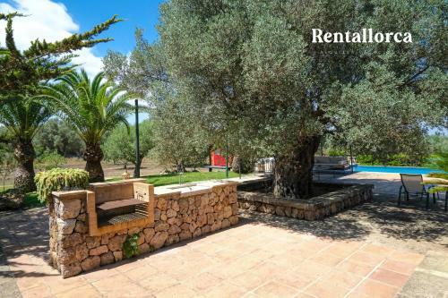 Finca S'olivar de Son Reixach - Rentallorca