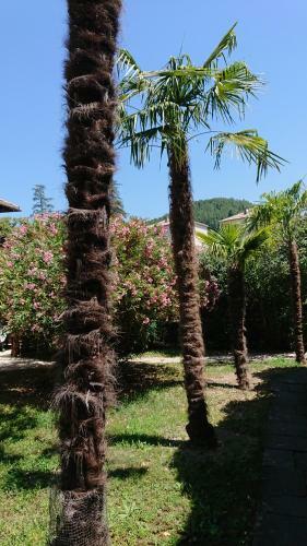 Apartamentos Les Jardins de La Volane