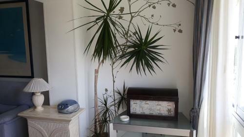 Apartamento Torre San Sebastian