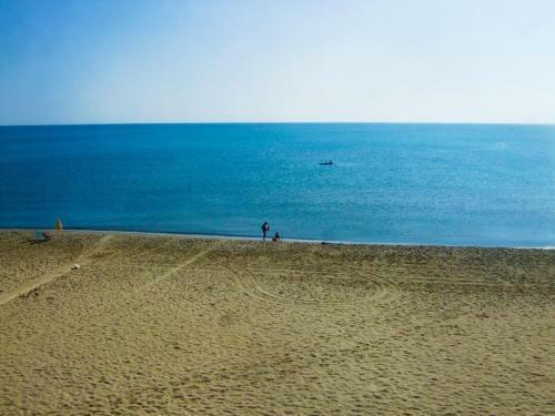 The Enlightened Turtle