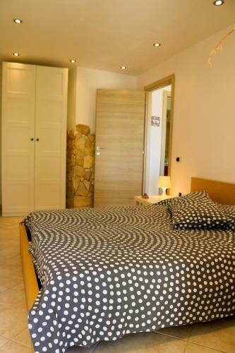 The Enlightened Turtle