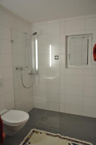 Apartamentos Chesa Viletta