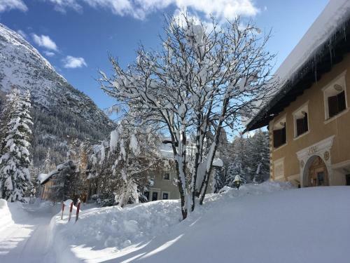 Apartamentos Chesa Viletta