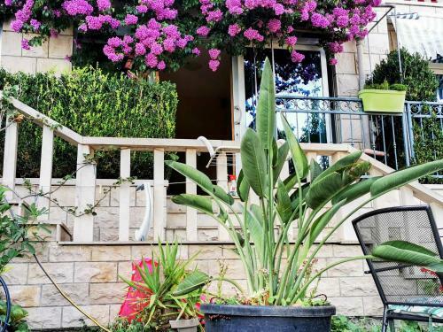 Apartment Luka Sodan -villa Bose