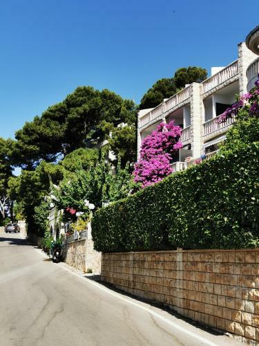 Apartment Luka Sodan -villa Bose