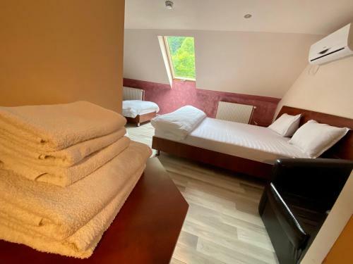 Hostal Pensiune Muntii Aninei