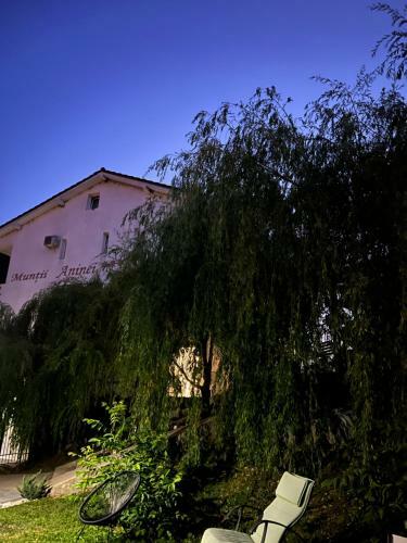 Hostal Pensiune Muntii Aninei
