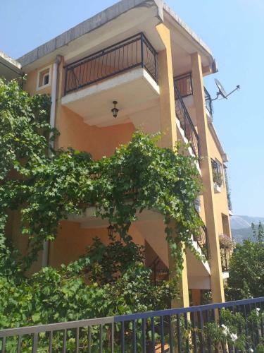 Hostal Guesthouse Djacic