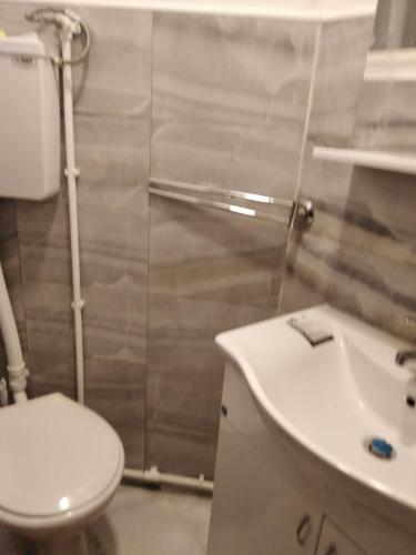 Villa Ku?a Na Obali Jezera Sa Bazenom