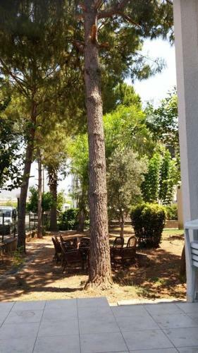 1 - Holy Art Villas Plajda 5 Katli Villa