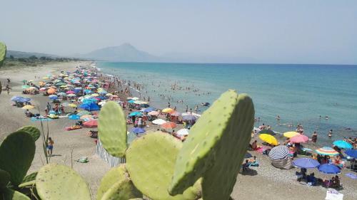 Villa Del Mediterraneo
