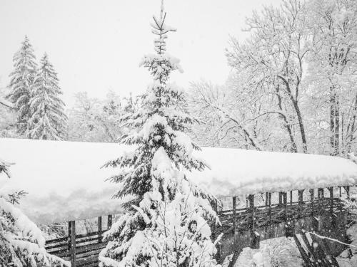 Bed & Breakfast Br�ckenhof Garni