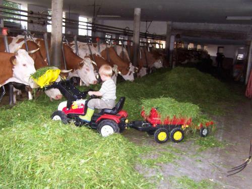 Agroturismo Baby- Und Kinderhof Aicherbauer