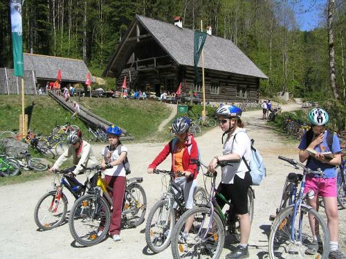 Hostal Gasthaus-pension Sandner Linde