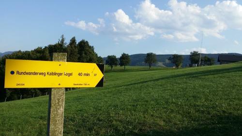 Hostal Gasthaus-pension Sandner Linde