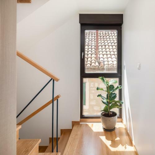 Apartamentos Residence The One - New