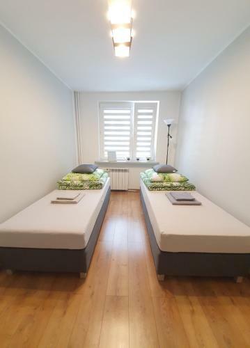 Apartament Mickiewicza