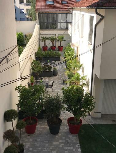 Logement Haut de Gamme Jacuzzi Sauna